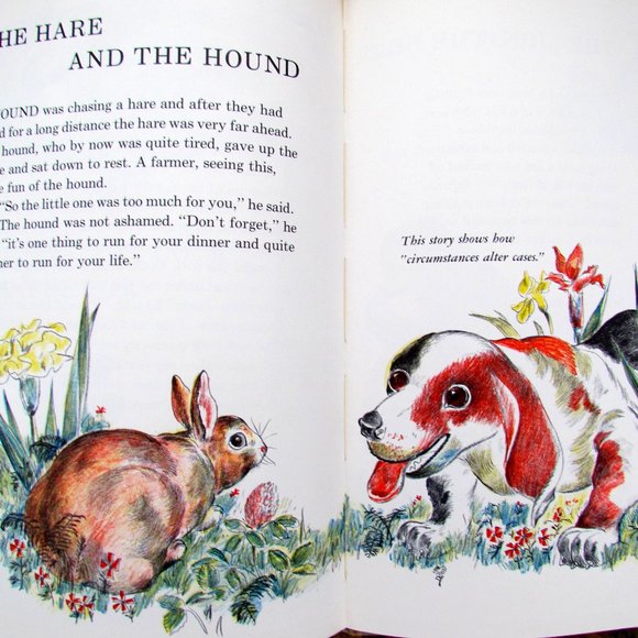 AESOP'S FABLES 1954 VINTAGE EXCELLENT HARDCOVER w TONY PALAZZO ART, DOUBLDAY - Picture 4 of 15